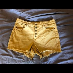 Mustard High Rise Shorts
